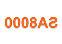 SA8000社会责任摘要